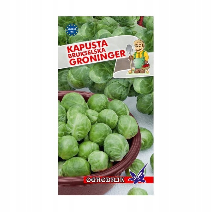 Kapusta brukselska Groninger 2g / O /