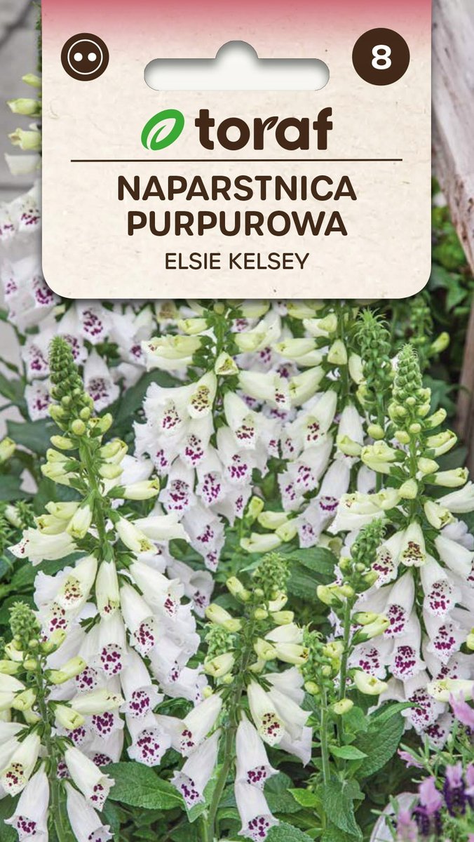 Naparstnica purp. Elsie Kelsey nasiona 0,1g / T /