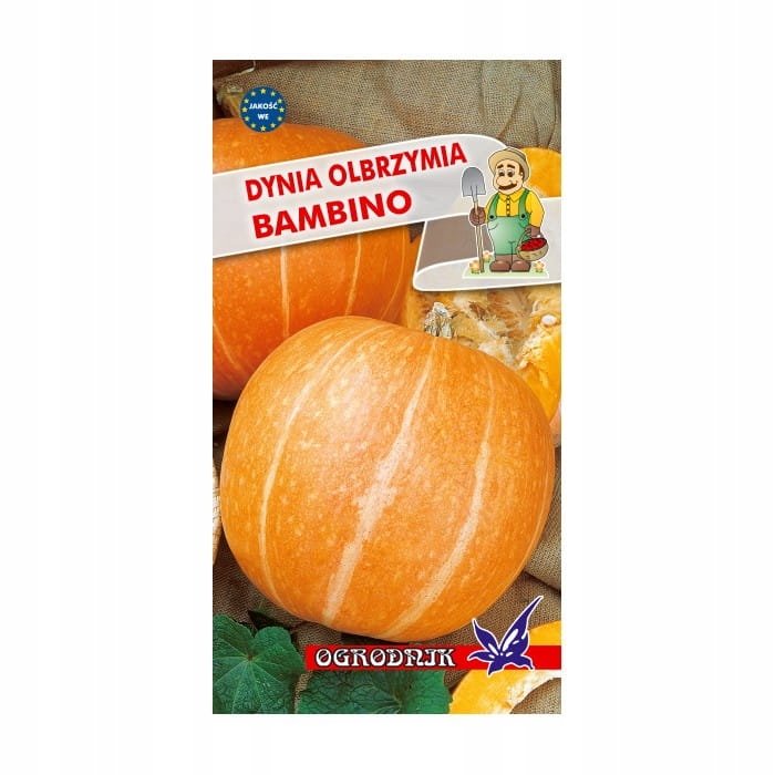 Dynia olbrzymia Bambino nasiona 3g / O /
