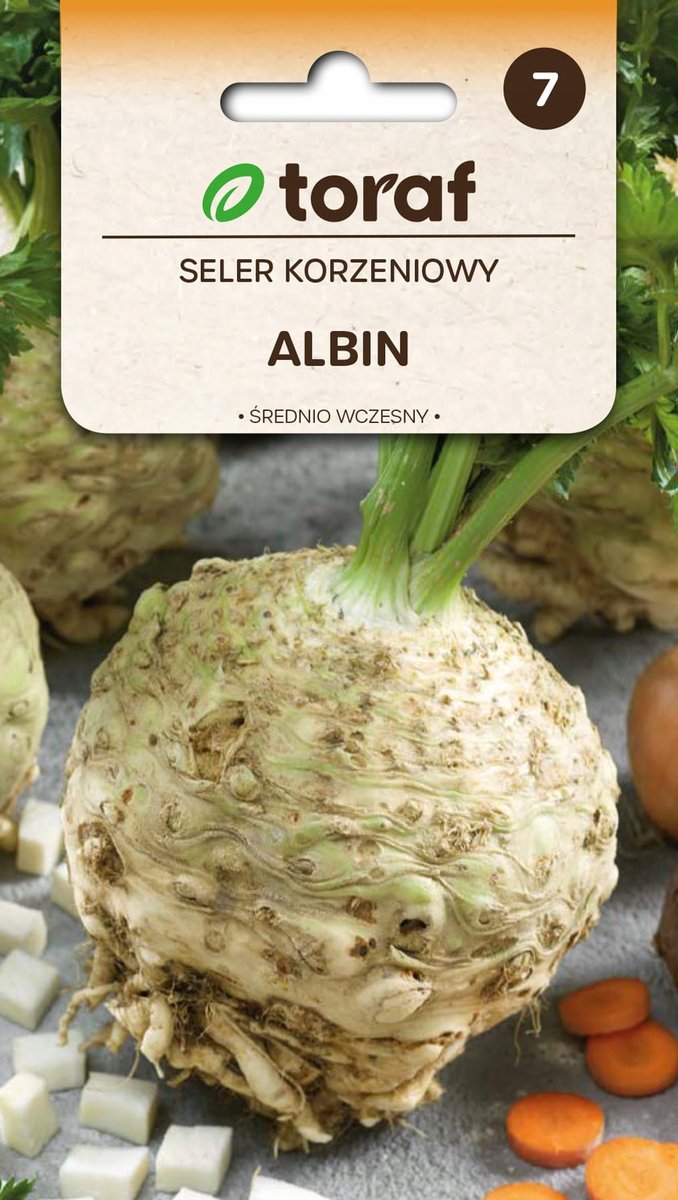 Seler korzeniowy Albin nasiona 0,5g / T /