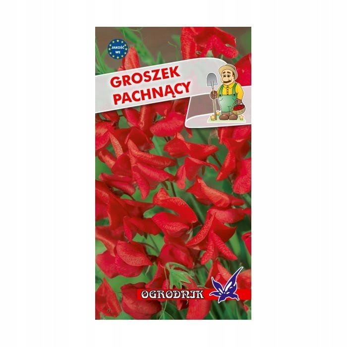 Groszek pachnący czerwony 3g / O /
