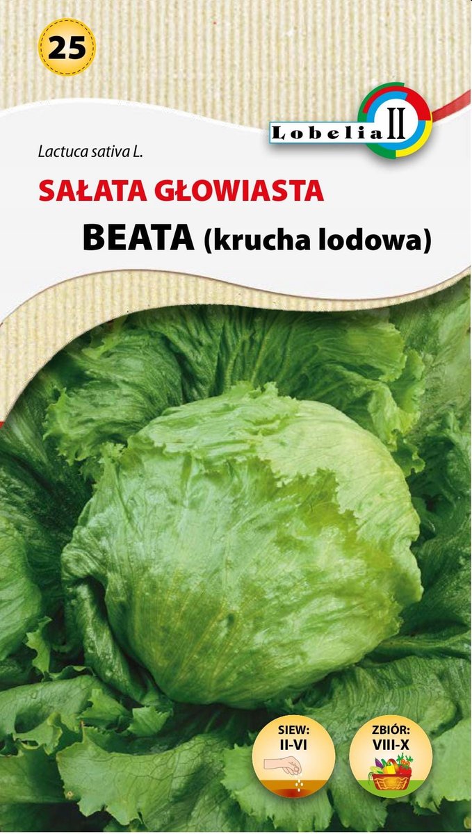 Sałata głow.krucha Beata nasiona 1g / L /