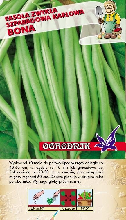 Fasola zielonostrąkowa karłowa Bona 40g / O /