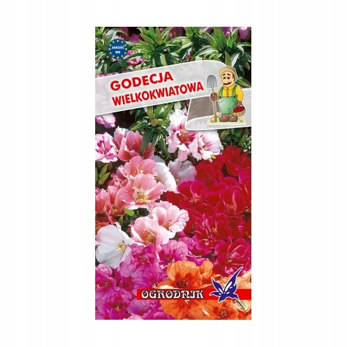 Godecja wielkokwiatowa mix 1g / O /