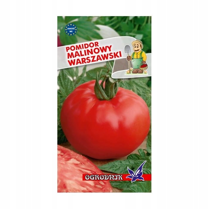 Pomidor wczesny Malinowy Warszawski 0,5g / O /