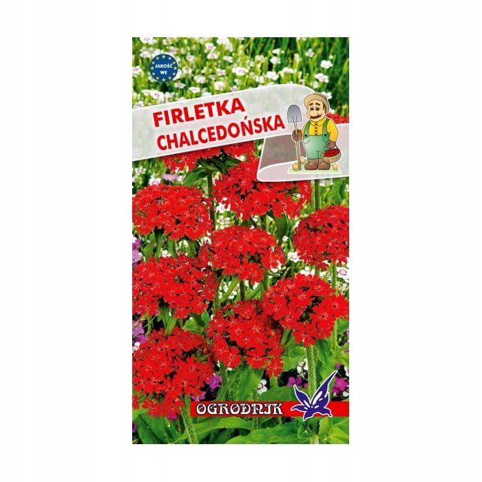 Firletka chalcedońska 0,5g / O /