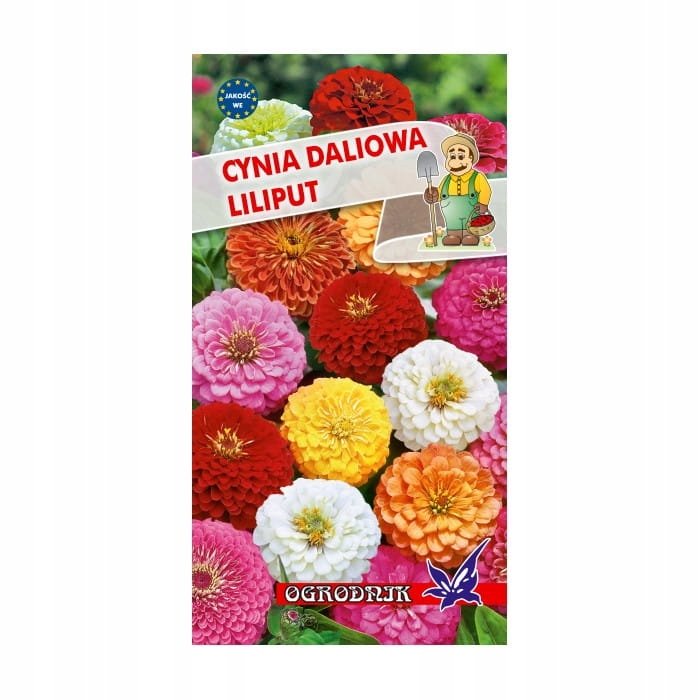 Cynia daliowa Liliput mix 1g / O /