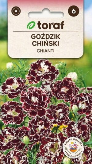 Goździk chiński Chianti nasiona 0,1g / T /