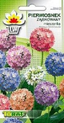 Pierwiosnek ząbkowany mix nasiona 0,1 g