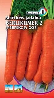Marchew BERLIKUMER 2 typ perfekcja 3g / L /