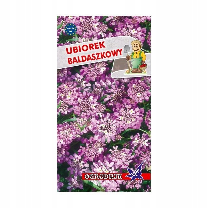 Ubiorek baldaszkowy różowy nasiona 1g / O /