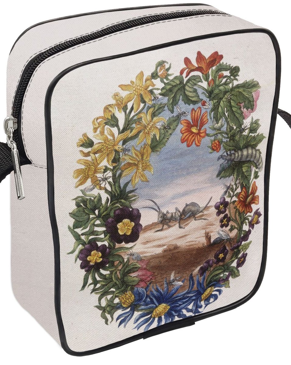 Listonoszka Fourmi Maria Sibylla Merian