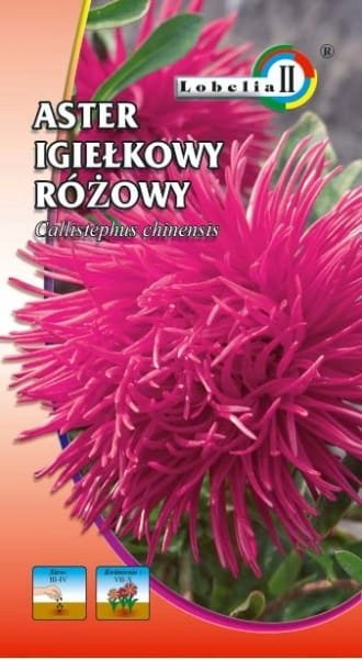 Aster igiełkowy różowy 1g / L /