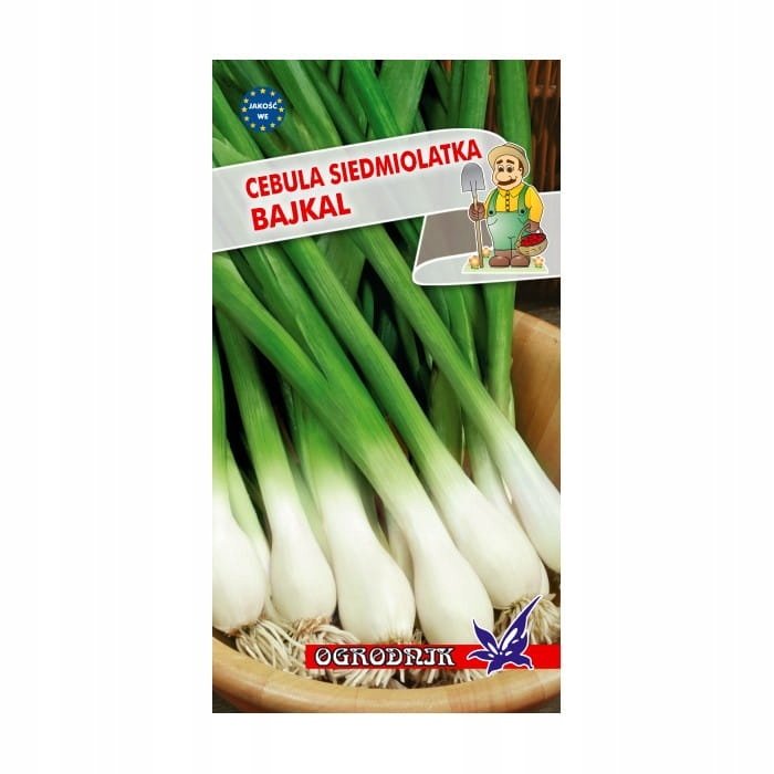 Cebula siedmiolatka Bajkal 2g / O /