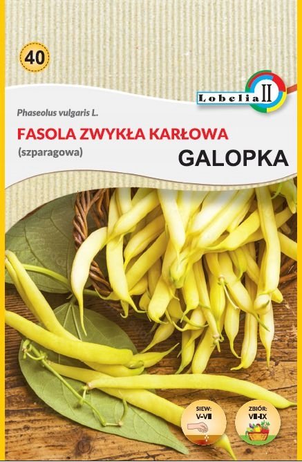 Fasola zwykła karłowa Galopka 40g / L /