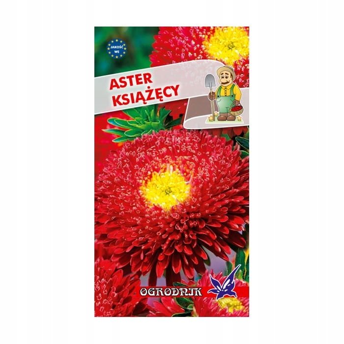 Aster książęcy czerwony 1g / O /