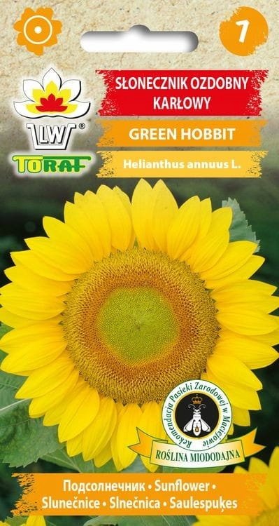 Słonecznik ozdobny Green Hobbit 1g / T /