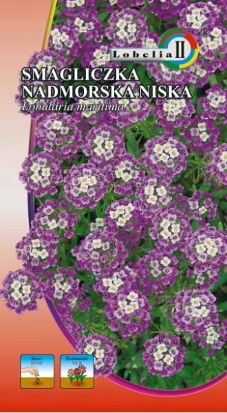 Smagliczka nadmorska fioletowa 0,5g / L /