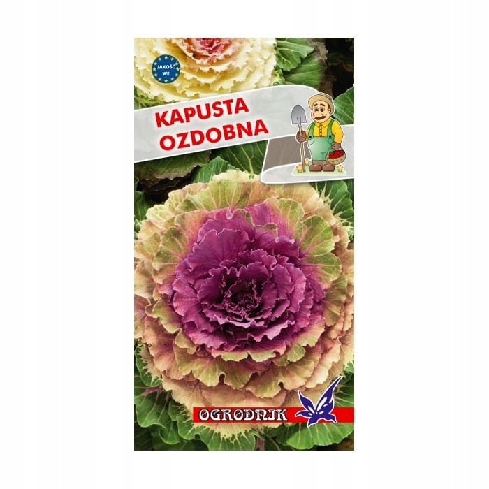 Kapusta ozdobna mieszanka 0,5g / O /