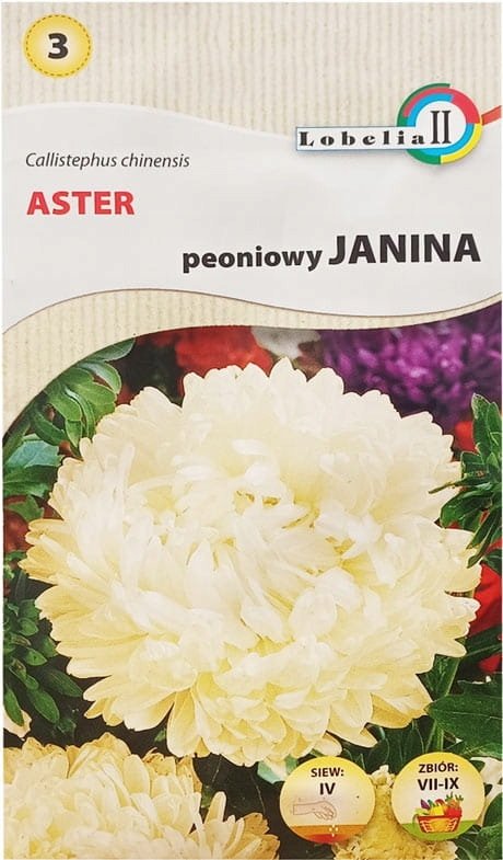 Aster peoniowy Janina 1g / L /