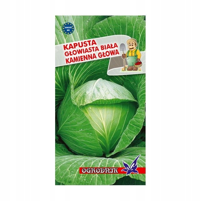 Kapusta biała Kamienna Głowa nasiona 2g / O /