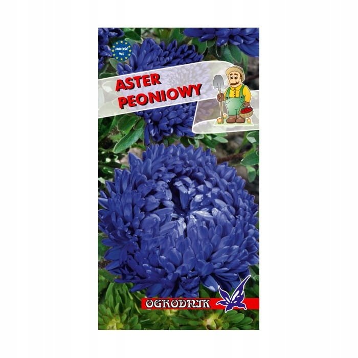 Aster peoniowy niebieski nasiona 1g / O /