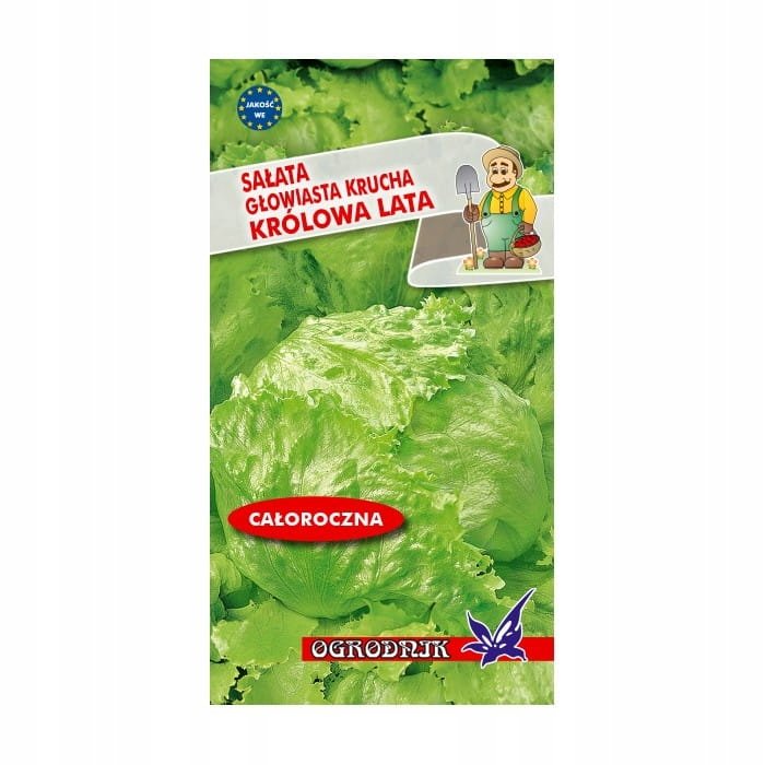 Sałata krucha Królowa Lata nasiona 1g / O /