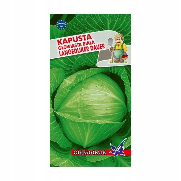 Kapusta Langendijker Dauer 2 2g / O /