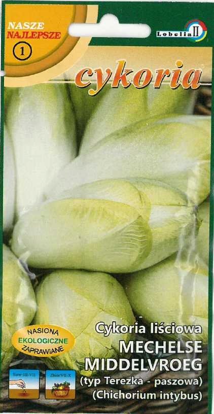 Cykoria Mechelse Middelvroeg typ Terezka 5g / L /