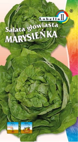Sałata masłowa Marysieńka 1g / L /