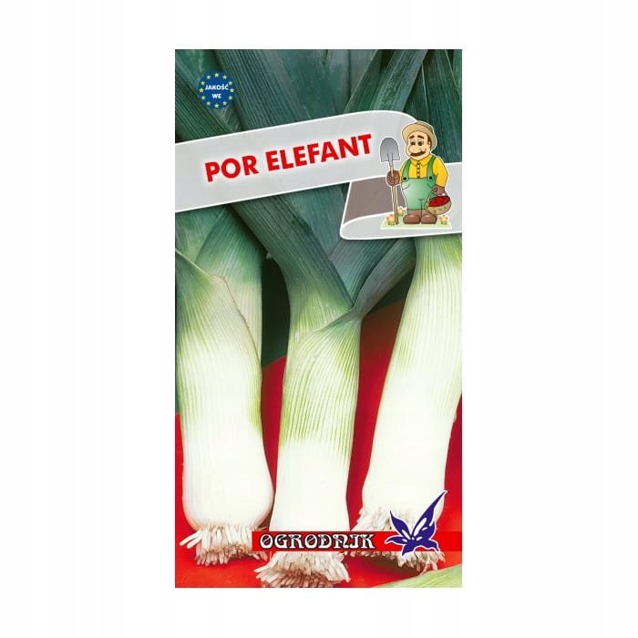 Por Elefant średniopóźny jesienny nasiona 1g / O /