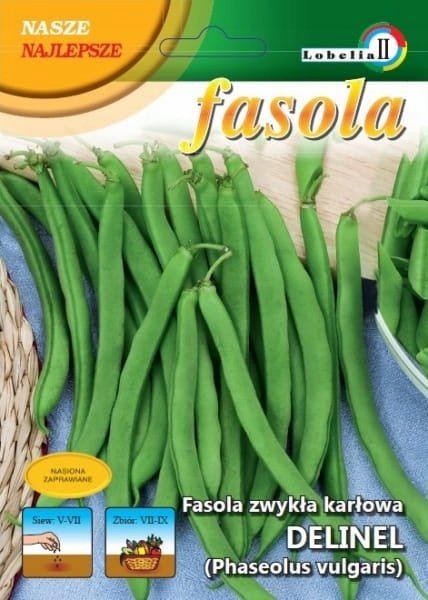 Fasola zielona karłowa Delinel 50g / L /