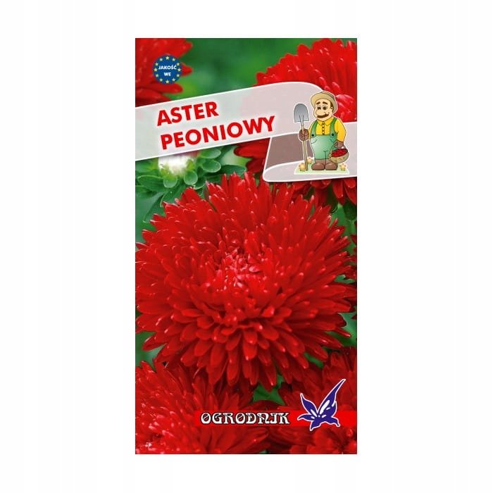 Aster peoniowy czerwony 1g / O /