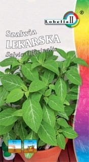 Szałwia lekarska 1g / L /