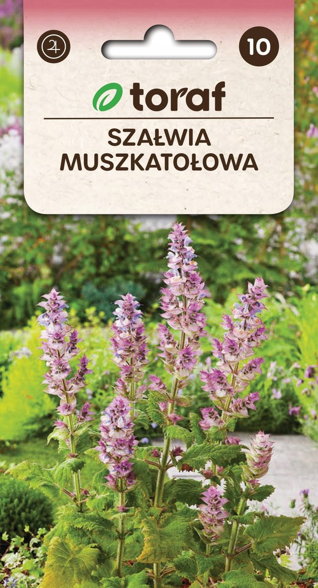 Szałwia muszkatołowa nasiona 0,5g / T /