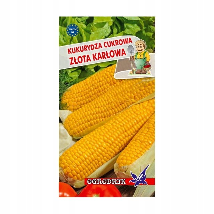 Kukurydza cukrowa Złota Karłowa nasiona 10g / O /