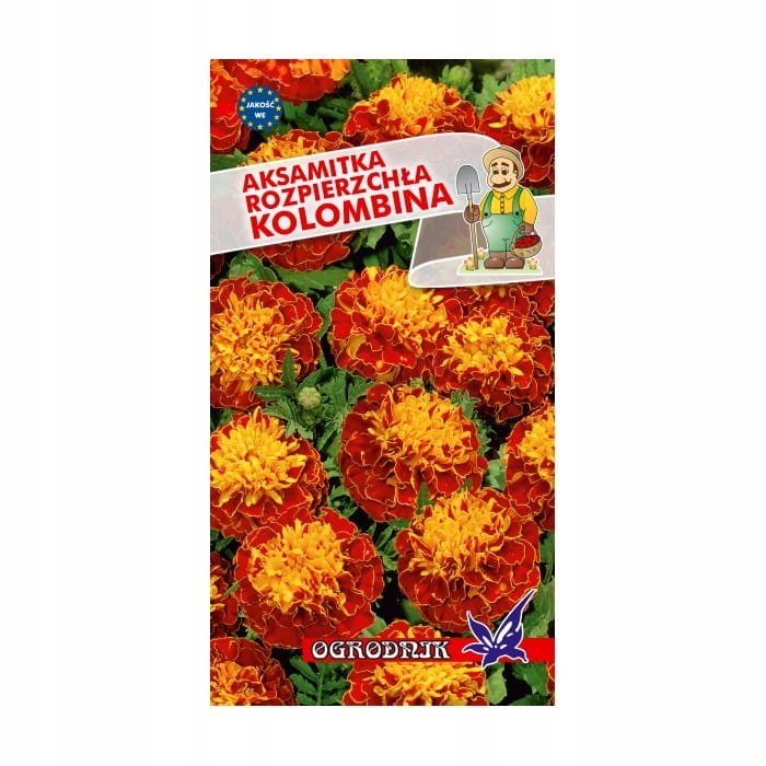 Aksamitka rozpierzchła Kolombina 1g / O /