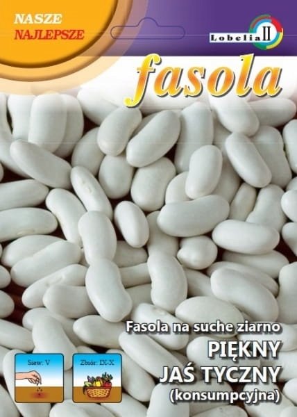 Fasola tyczna Piękny Jaś 20g / L /