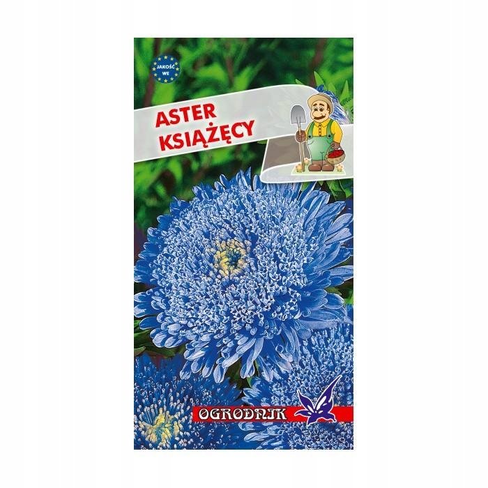 Aster książęcy niebieski 1g / O /