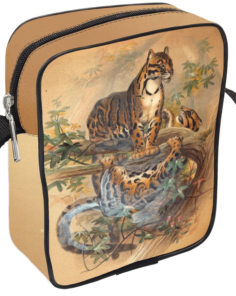 Listonoszka The Clouded Tiger Joseph Wolf