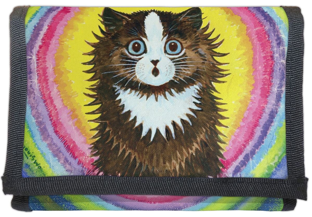 Portfel Kot w tęczy Louis Wain