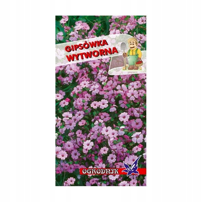 Gipsówka wytworna różowa 1g / O /