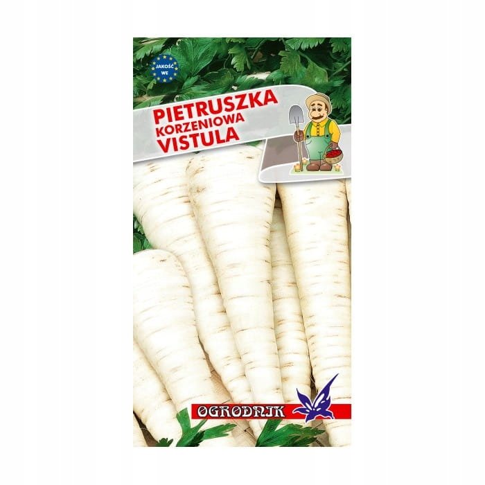 Pietruszka późna Vistula nasiona 5g / O /