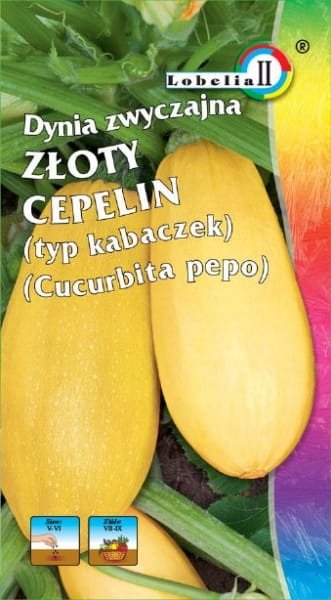 Dynia zwyczajna kabaczek Złoty Cepelin 3g / L /