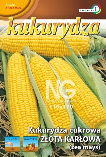 Kukurydza cukrowa Złota Karłowa 20g / L /