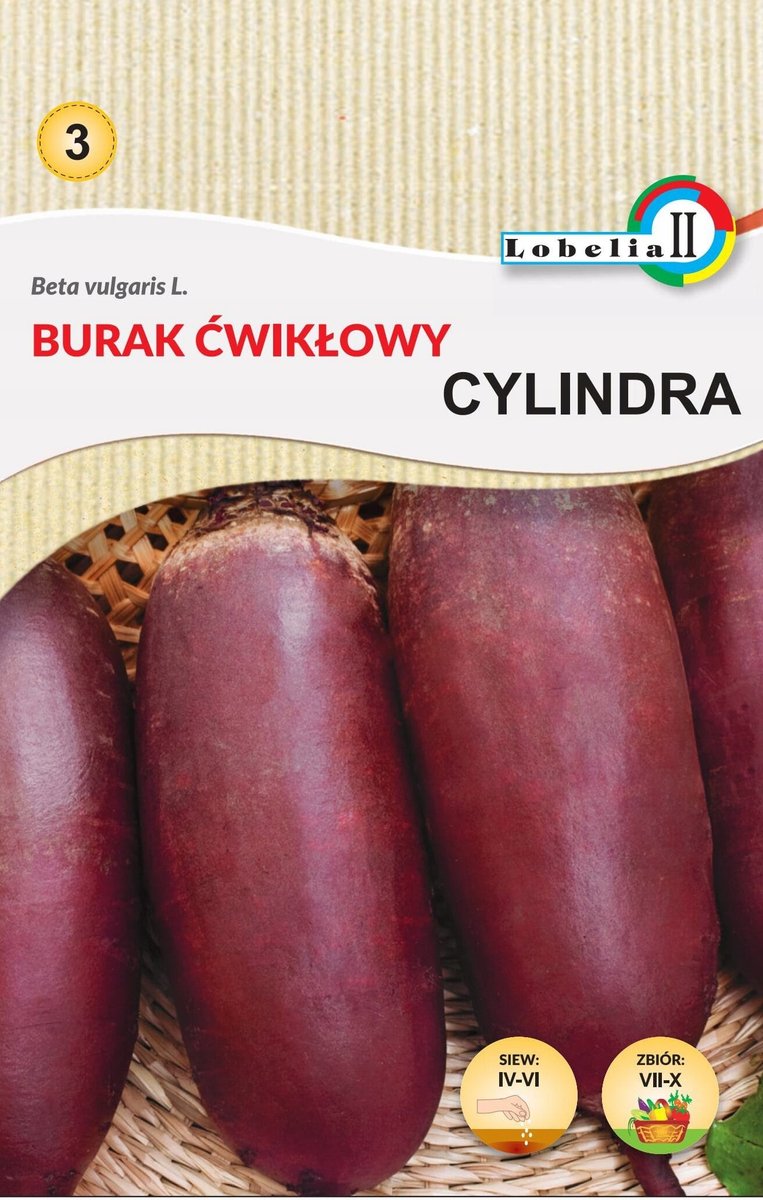 Burak ćw.Cylindra nasiona 10g / L /