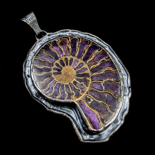 Ogromny amonit z purpurytem