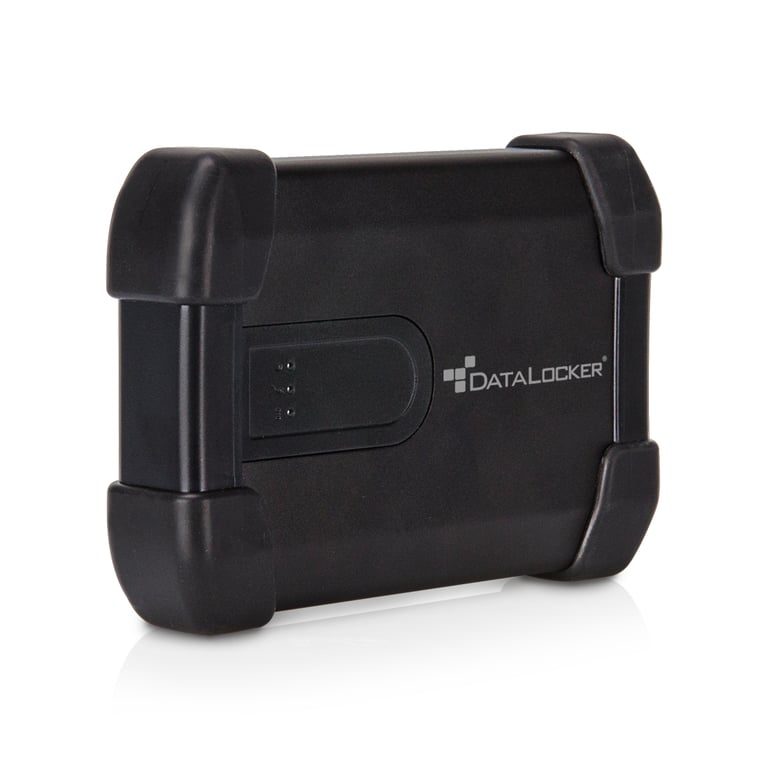DataLocker H300 Basic zewnętrzny dysk twarde 500 GB 2.5