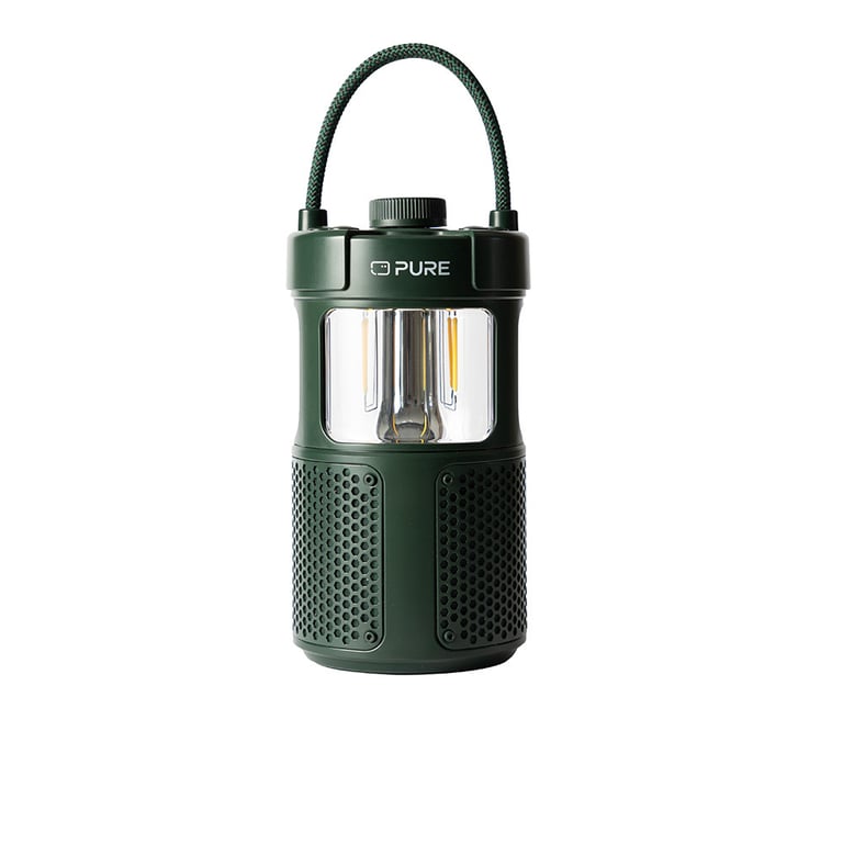 Pure 252584 głośnik przenośny / imprezowy Zielony 20 W