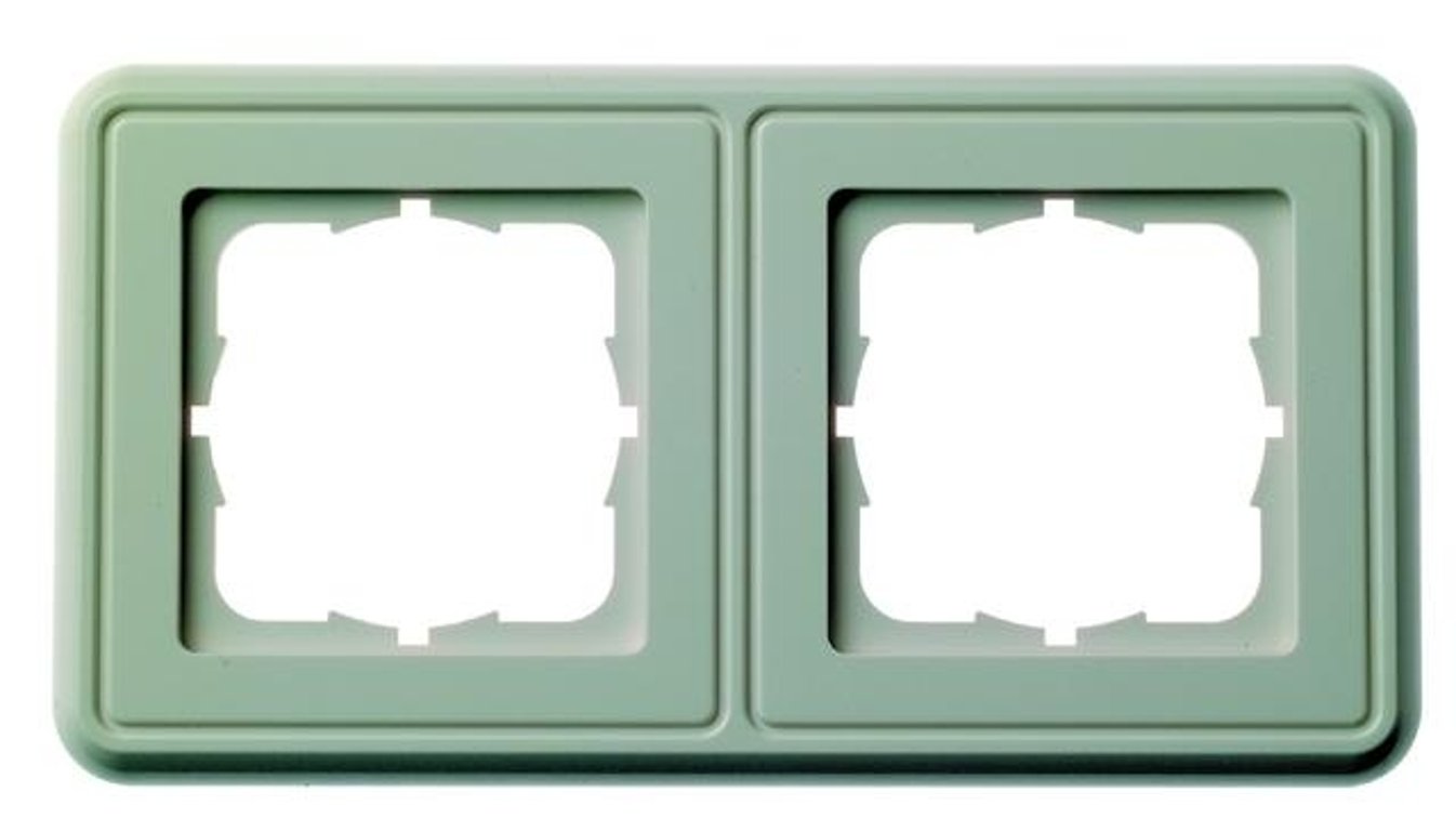 Telegärtner Double frame for AMJ/UMJ organizer do kabli